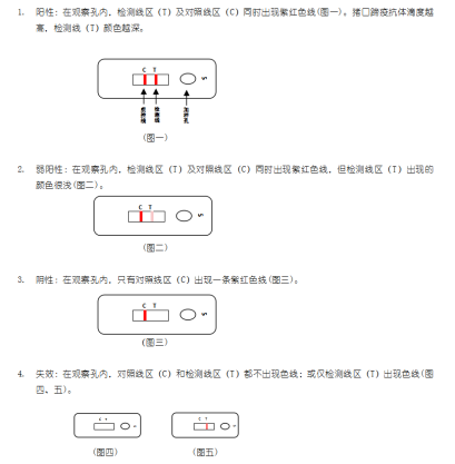 狂犬病毒抗體膠體金快速檢測(cè)卡